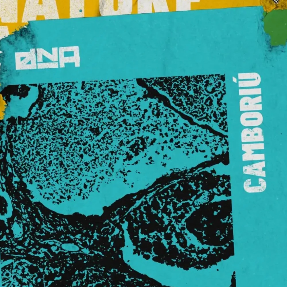DNA Camboriú — Art Car